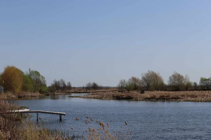 Квіти, лебеді, весна: показали мальовничу красу волинської річки (фото)