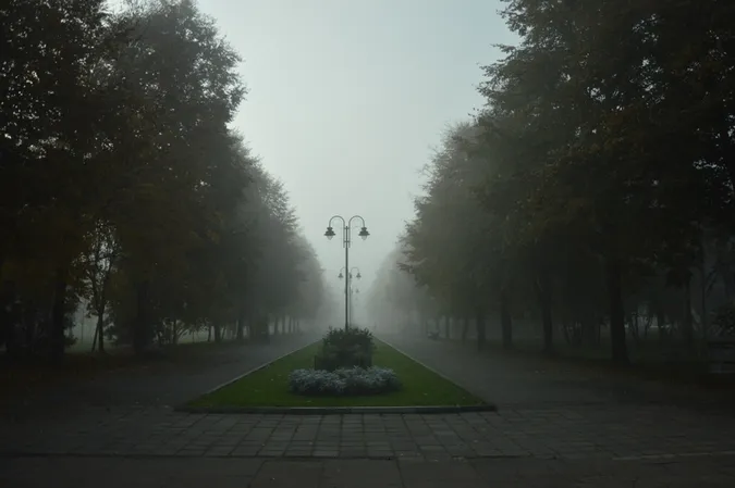 Центральний парк Луцька у ранковому тумані (фото)