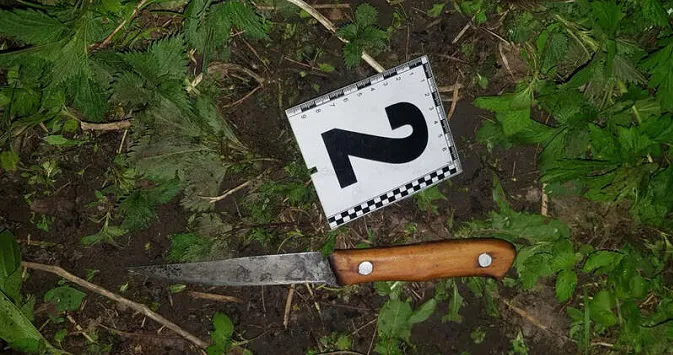 На Волині 21-річного молодика, який ледь не зарізав юнака, «закрили» на п'ять років