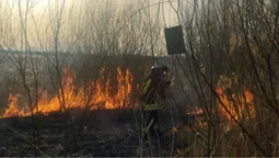 Палає по всій області: на Волині – масові пожежі сухостою (фото)