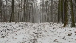 У Гаразджі з'явилися дві екологічні стежки 
