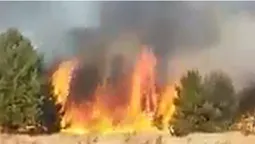 На Волині за кілька днів вигоріло понад 1200 гектарів землі (фото, відео)