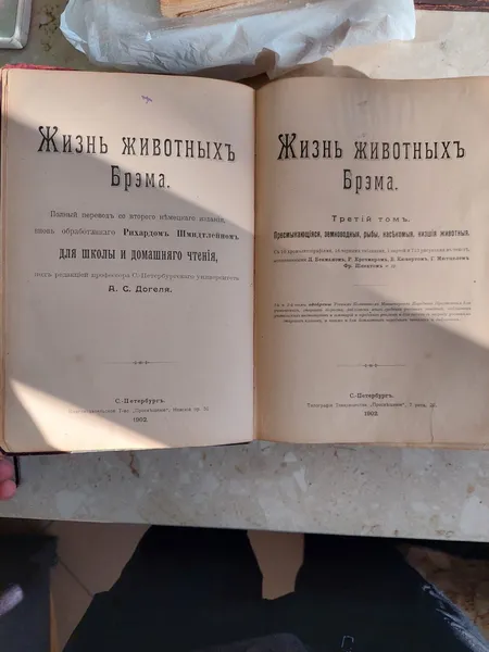 Естонець хотів вивезти через Волинь книги царської росії