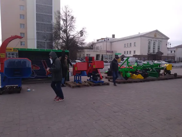 На Театральному майдані Луцька до виставки готуються лісівники