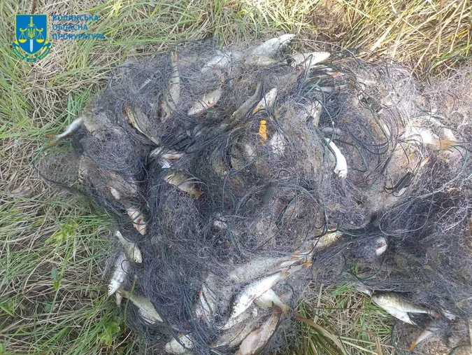 Волинянин у заказнику натягав сітками риби на понад пів мільйона гривень (фото)