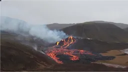 Виверження вулкану на Канарських островах (відео)