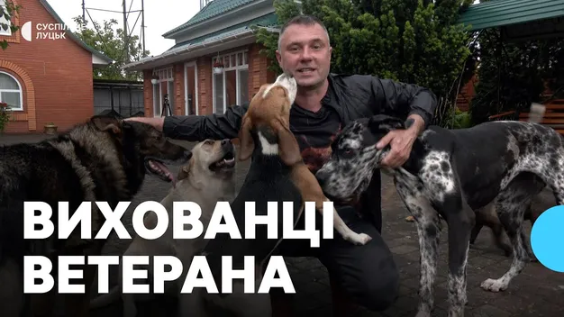 Колишній військовослужбовець з Волині реабілітує ветеранів з допомогою собак (відео)