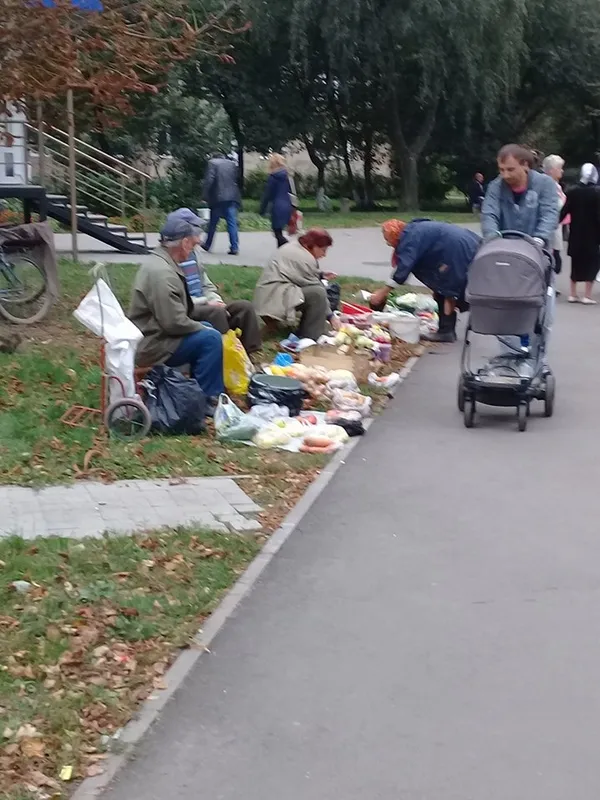 Про «домашні» яблука і овочі без хімікатів (фото)
