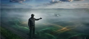 Зелене золото: фермер засадив 200 гектарів поля травою-велетнем (фото)