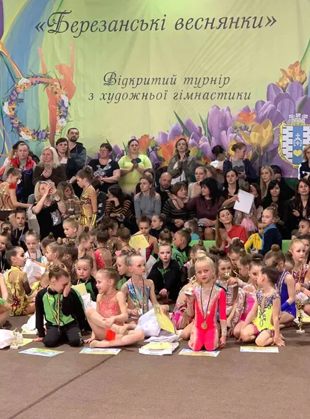 Луцькі гімнасти привезли перемоги зі змагань
