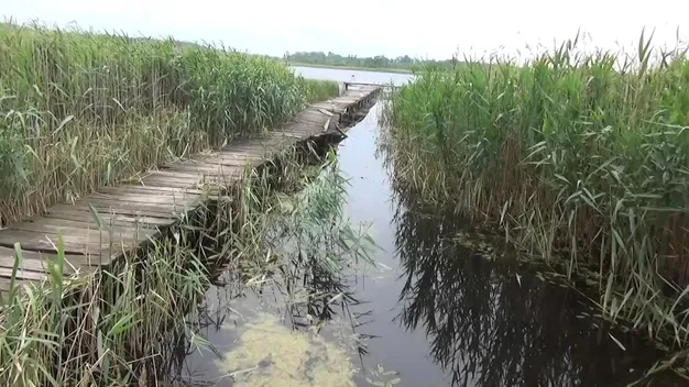 На Поліссі ховається глибоченне озеро, яке рибалки тримають у таємниці (відео)