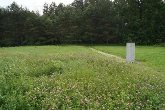 Чи реально в Луцьку отримати землю під будівництво