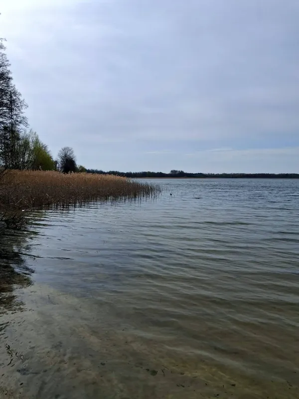 Весна на Шацьких озерах: місцеві показали неймовірні краєвиди (фото)