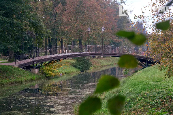 Осінь у луцькому парку: тиша і сплеск кольорів (ФОТО)