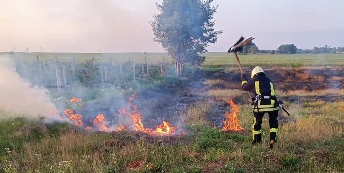 Через необережність з вогнем на Волині сталися п'ять пожеж у полях (фото)