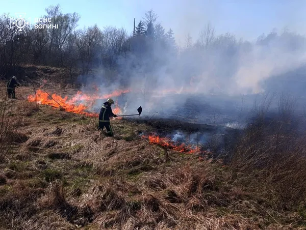 Вогонь підходив до будинків і доріг: на Волині за два дні вигоріло понад 30 га трави і чагарників (фото)