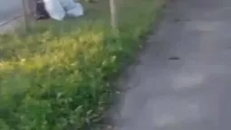 Лучанка винесла на дорогу сміття, попри контейнер на подвір'ї (фото) 