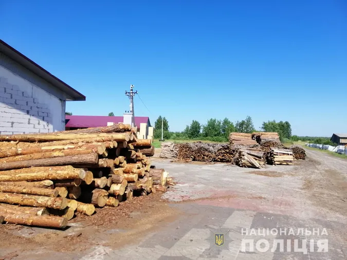 На Камінь-Каширщині – масштабні обшуки: шукають «лівий» ліс (фото)