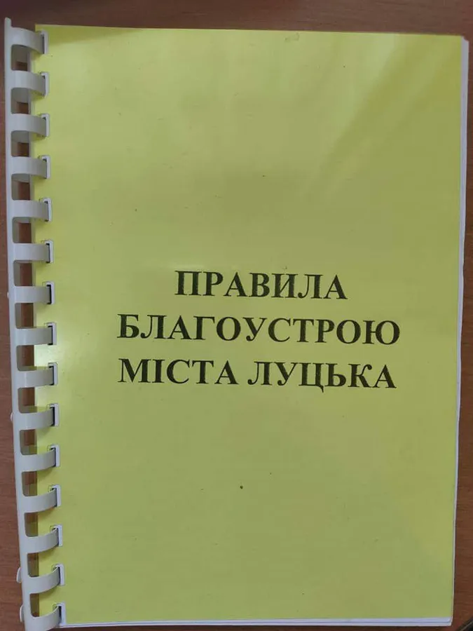 Правила благоустрою міста хочуть змінити: лучан просять долучатися