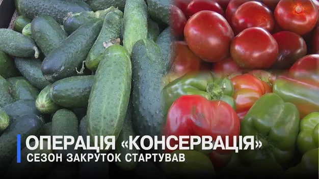 Сезон консервацій: що скуповують на ринку в Луцьку (відео)