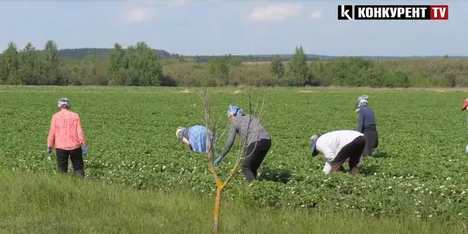 Головне у Луцьку: ТОП новин за середу, 22 травня