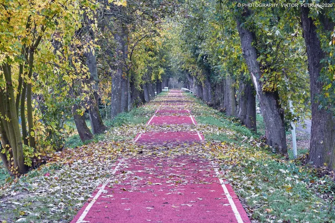 Жовтогаряча осінь у луцькому парку (фото)