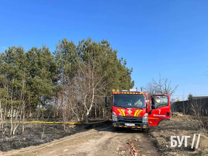 У Володимирі невідомі підпалили сосни біля житлового будинку (фото)