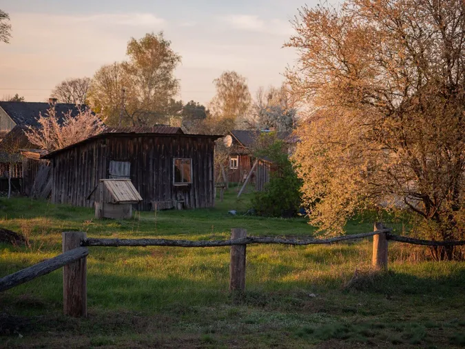 Все цвіте і пахне: весна в селі на Волині (фото)