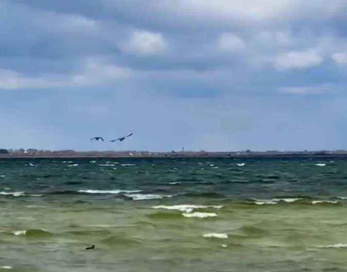 Світязь заштормило (відео)