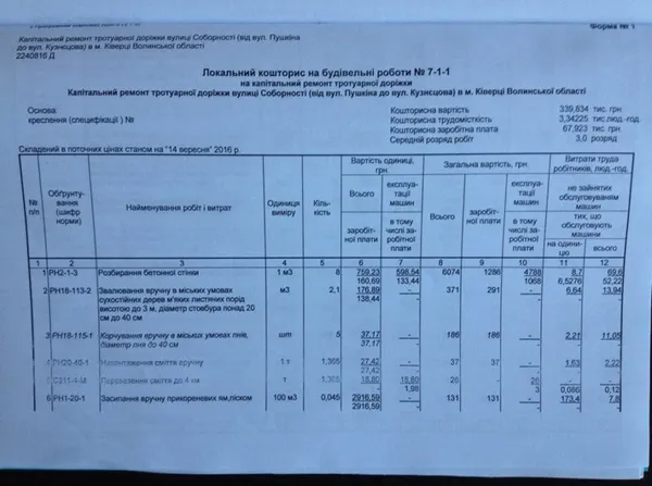 У Ківерцях спиляли «здорові» дерева, які видали за сухі (фото)