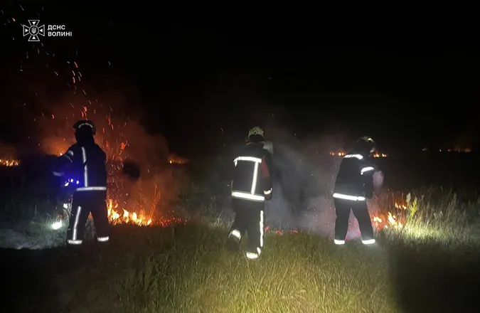 Вогонь охопив 6 гектарів: на Волині за дві доби сталися 8 пожеж (фото)
