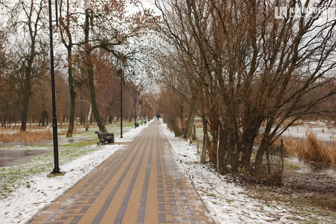 Підтоплені дерева та відчайдушні бігуни: ранок у луцькому парку (фото)
