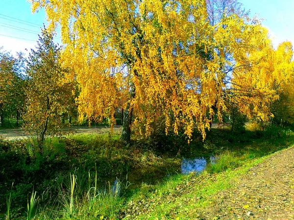 Осіння Камінь-Каширщина у фотографіях