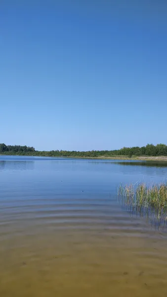 Неглибоке і тепле: де на Волині є озеро з чистою водою (фото)