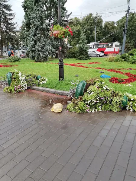 У центрі Луцька вітер перекинув «піраміди» з квітами (фото, відео)
