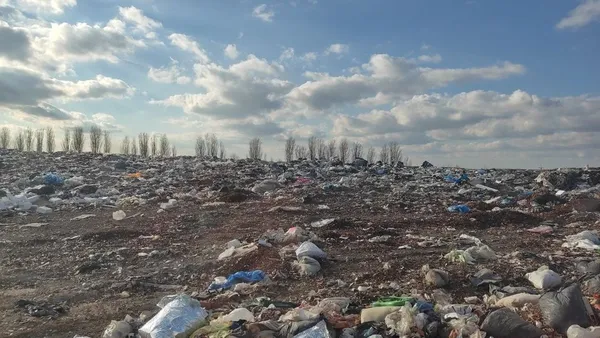 Куди зникає опале листя з Луцька і скільки це коштує (відео)