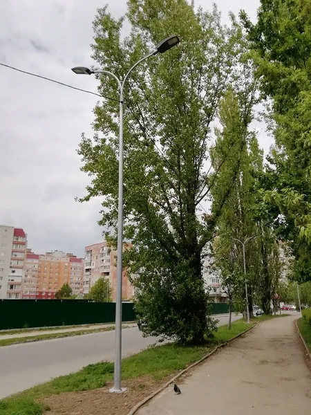 У Луцьку біля 21-ї гімназії встановили нове освітлення (фото)