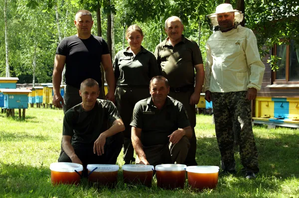 Волинські лісівники викачали мед, добутий 70 тисячами «золотих» комах (фото)