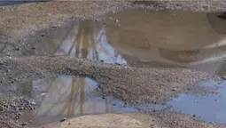 У Луцьку мешканці б’ють на сполох через «ставок» у дворі (відео)