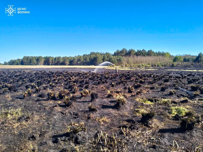 На Волині пожежа із сухостою перекинулася на торфовище (фото)