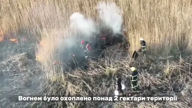 Гасили понад 7 годин: рятувальники показали, як горіло поле біля Луцька (відео)