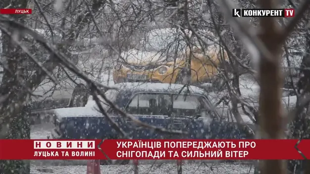 Шалено мете: у Луцьку за лічені хвилини погіршилася погода (відео)