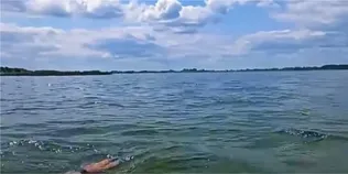 На Поліссі знайшли озеро-близнюка з кришталевою водою та піщаним дном (відео)