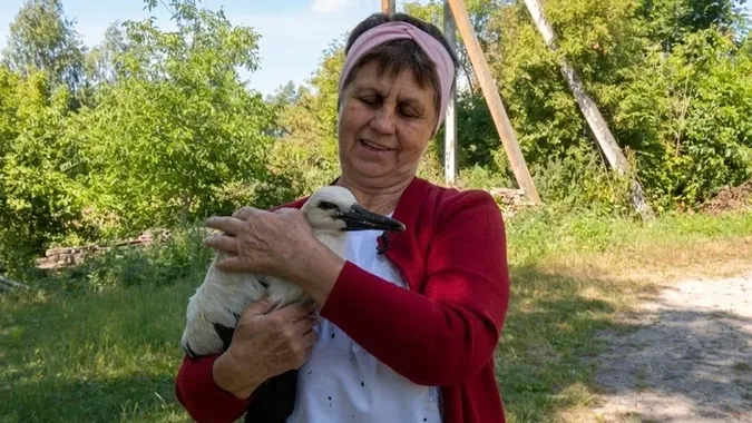 Фото: Суспільне