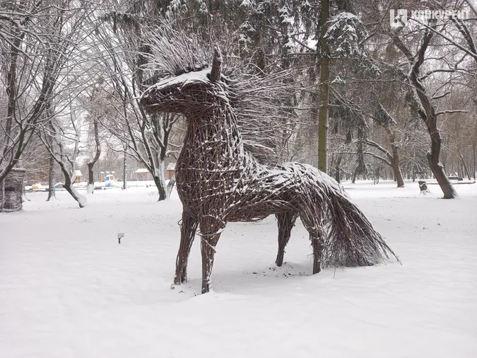 Сніжно і безлюдно: зима у Центральному парку Луцька (фото)