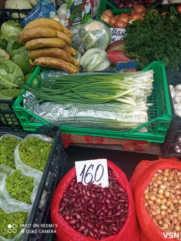Скільки коштують перші весняні овочі на волинських ринках (фото)