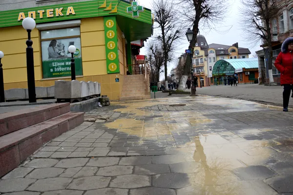 На вулиці Лесі Українки ліквідовують прорив водопроводу (фото)