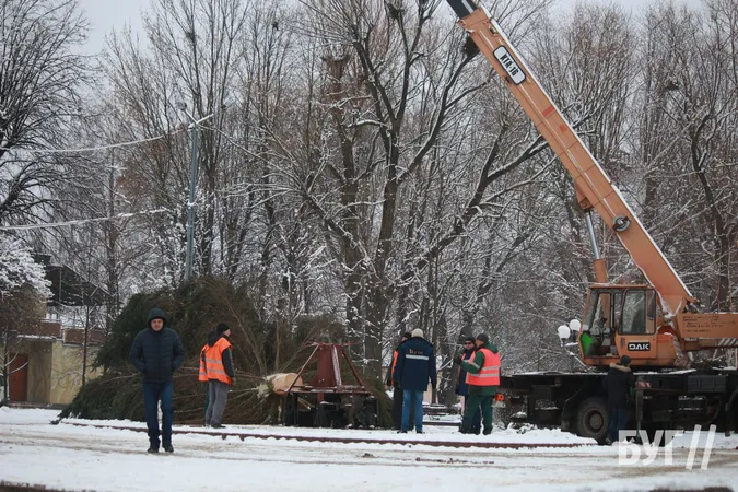 У Нововолинську встановили новорічну ялинку (фото)