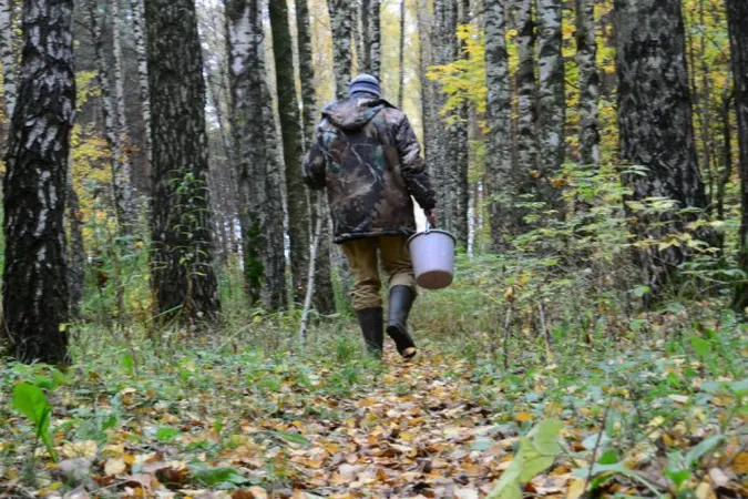 У лісі на Волині заблукав 80-річний дідусь (фото)