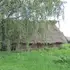 Село на краю світу: де на Поліссі ще можна побачити життя, як 200 років тому (фото)